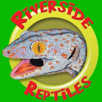 Children's Museum at Holyoke Logo